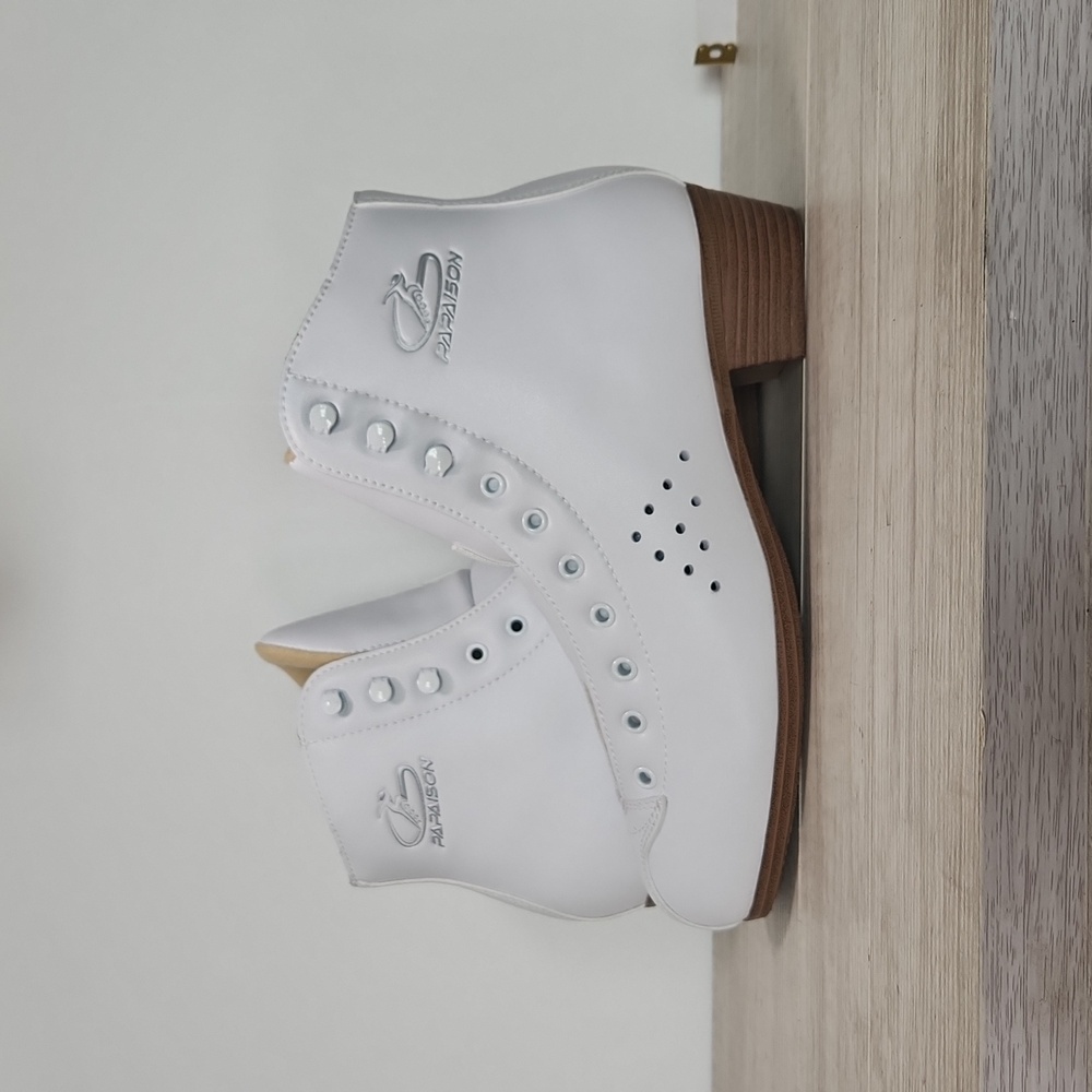 PAPAISON ROLLERBLADING SHOES